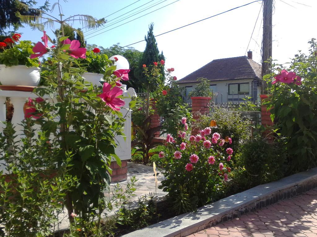 Bed and Breakfast Kristaly Apartman Хевиз Экстерьер фото